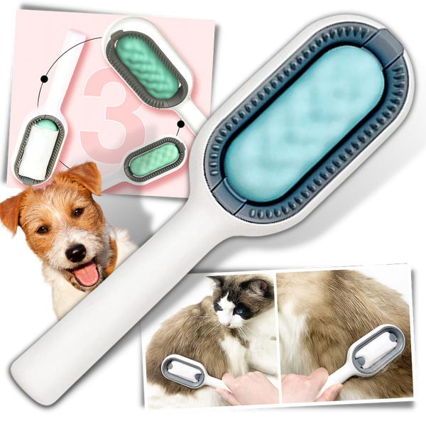 Brosse de toilettage pour animaux