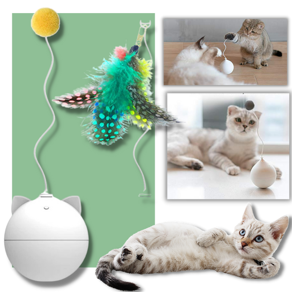 Balle -Jouet pour chat avec fonction d'auto-roulement