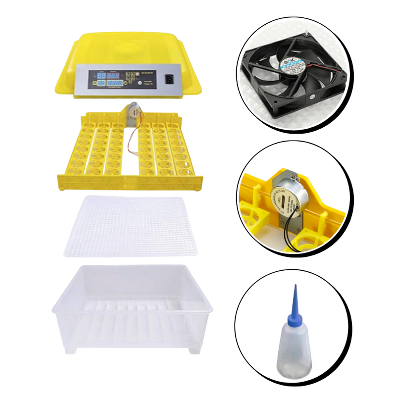 Incubateur automatique d'oeufs (48 oeufs)