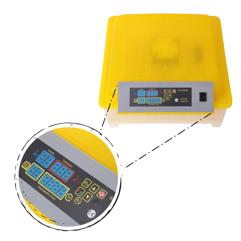 Incubateur automatique d'oeufs (48 oeufs)