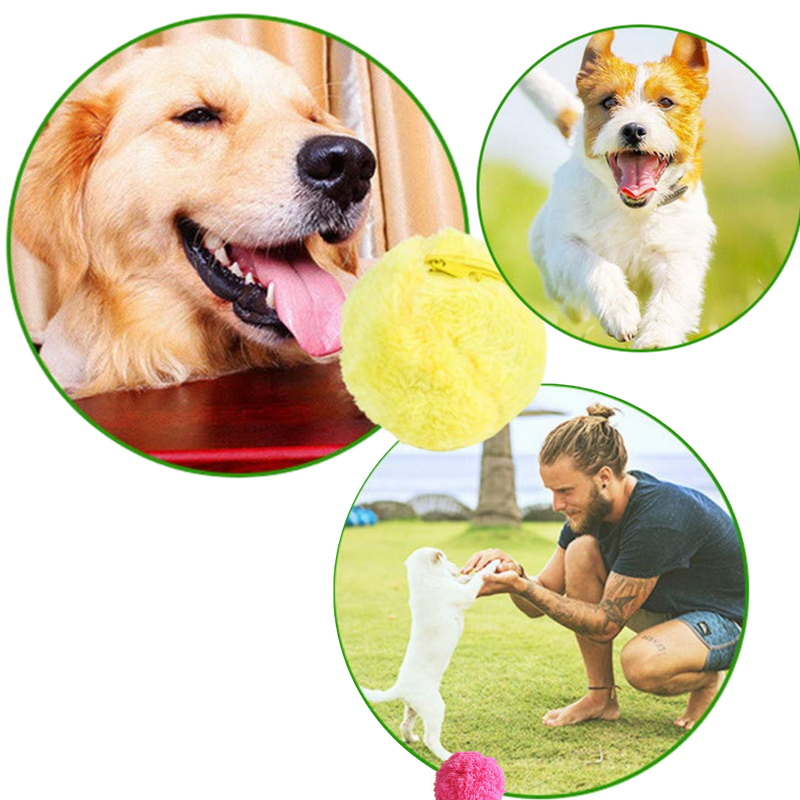 Balle rotative automatique pour chien avec 4 housses