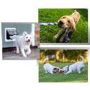 Chatière pour porte