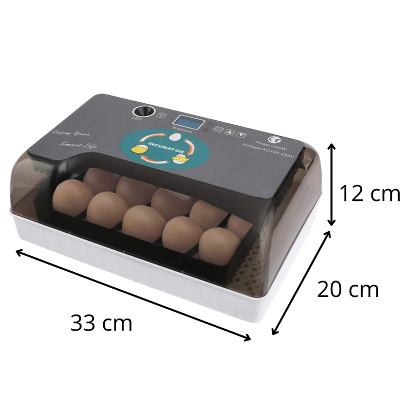 Incubateur automatique d'oeufs