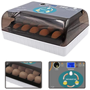 Incubateur automatique d'oeufs