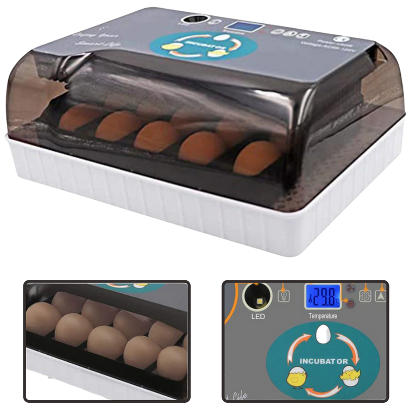 Incubateur automatique d'oeufs
