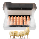 Incubateur automatique d'oeufs