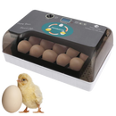 Incubateur automatique d'oeufs
