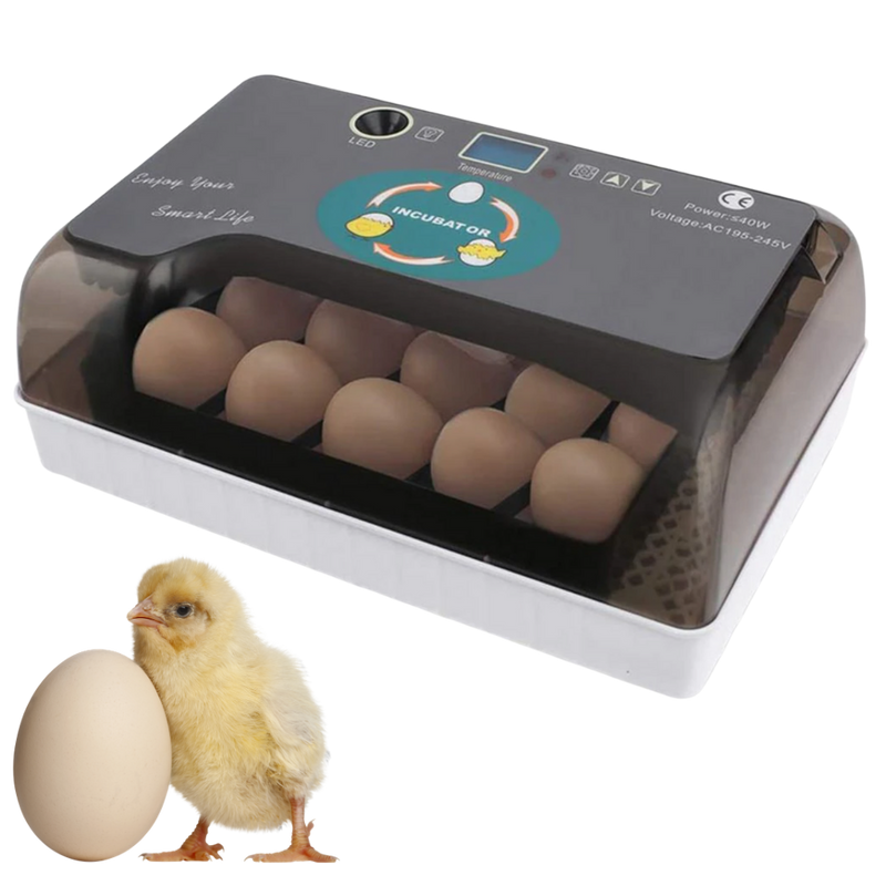 Incubateur automatique d'oeufs