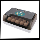 Incubateur automatique d'oeufs