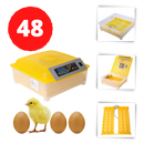 Incubateur automatique d'oeufs (48 oeufs)
