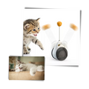Jouet à balle interactif pour chats