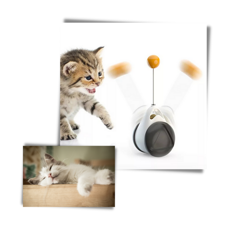 Jouet à balle interactif pour chats