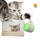 Jouet à balle interactif pour chats