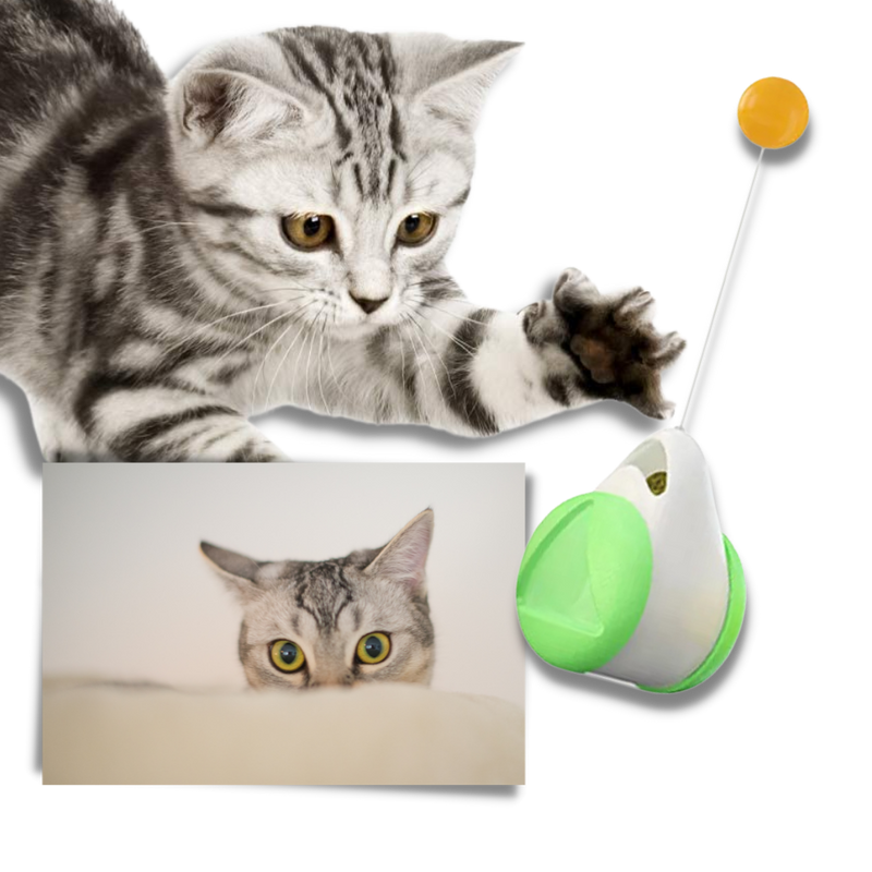 Jouet à balle interactif pour chats