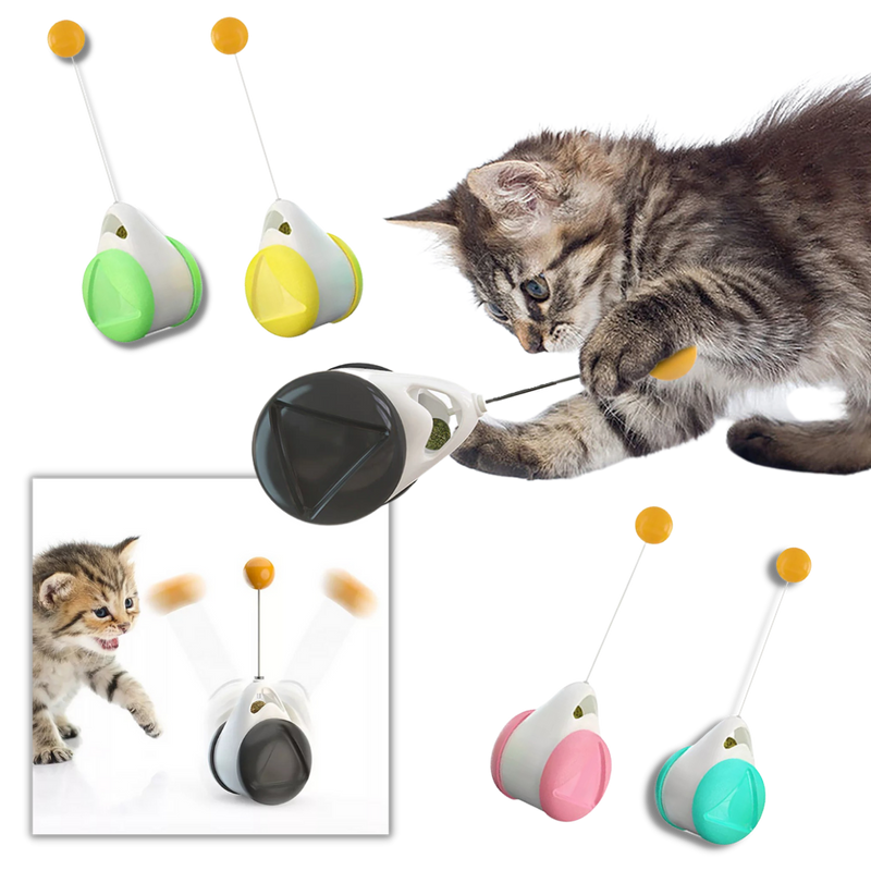 Jouet à balle interactif pour chats