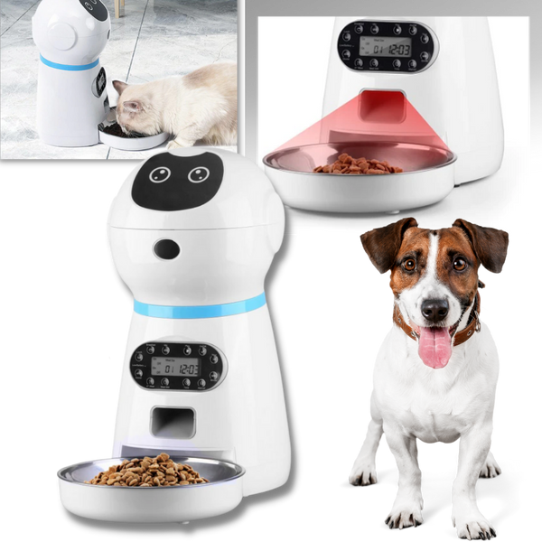 Distributeur automatique de nourriture pour animaux de compagnie