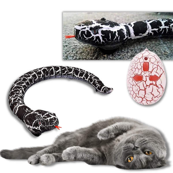 Jouet serpent interactif télécommandé pour chat