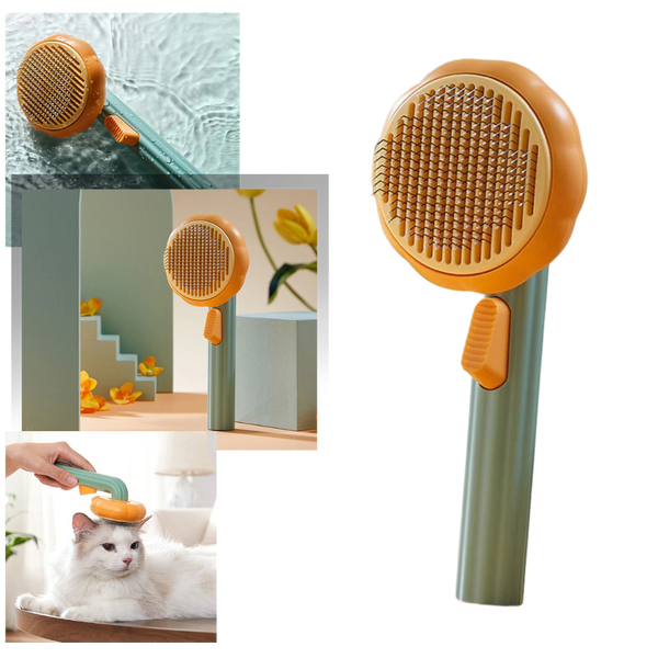 Brosse autonettoyante pour animaux de compagnie