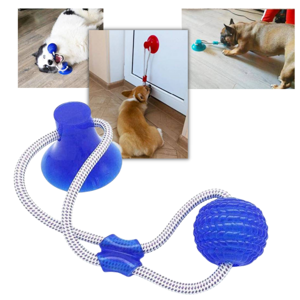 Balle avec ventouse pour chien