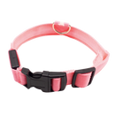 Collier lumineux pour animaux rechargeable par USB