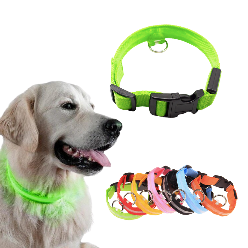 Collier lumineux pour animaux rechargeable par USB
