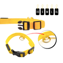 Collier lumineux pour animaux rechargeable par USB