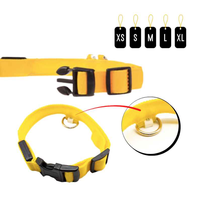 Collier lumineux pour animaux rechargeable par USB