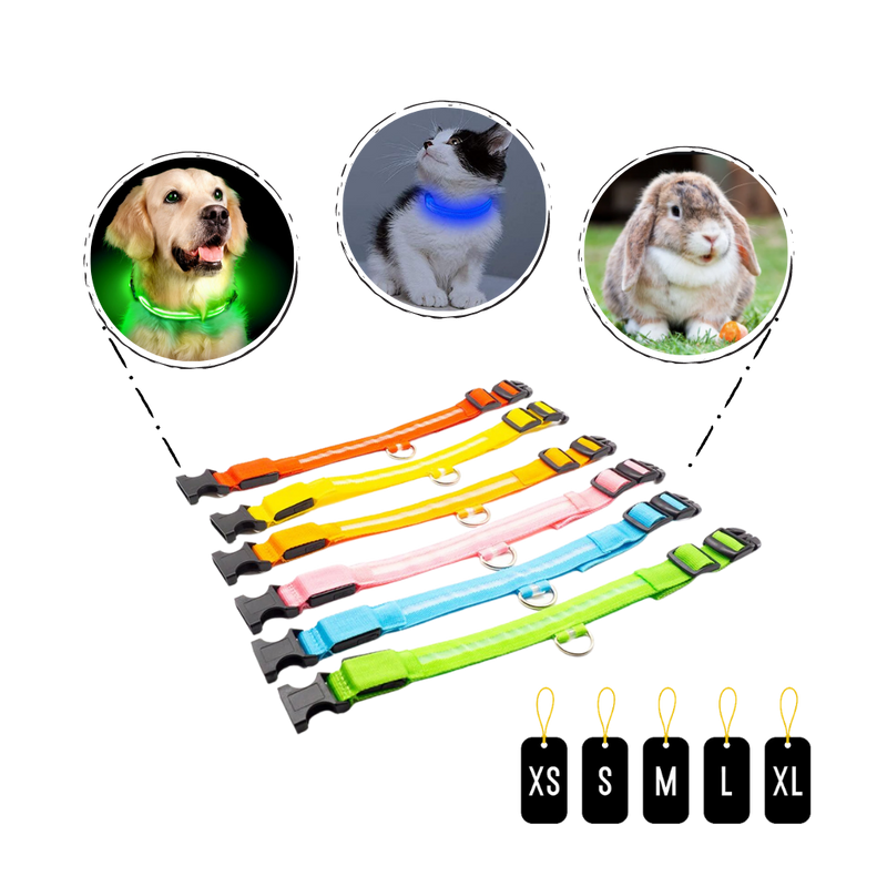 Collier lumineux pour animaux rechargeable par USB