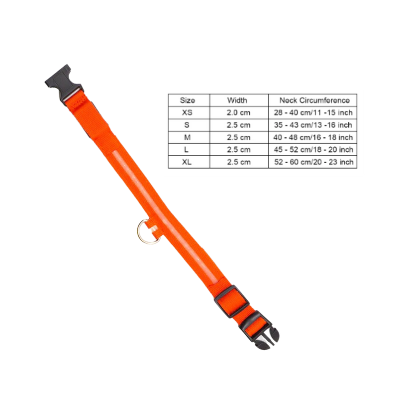 Collier lumineux pour animaux rechargeable par USB