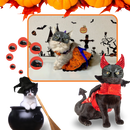 Irrésistible Masque Batman pour Chat