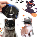 Irrésistible Masque Batman pour Chat