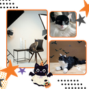 Irrésistible Masque Batman pour Chat