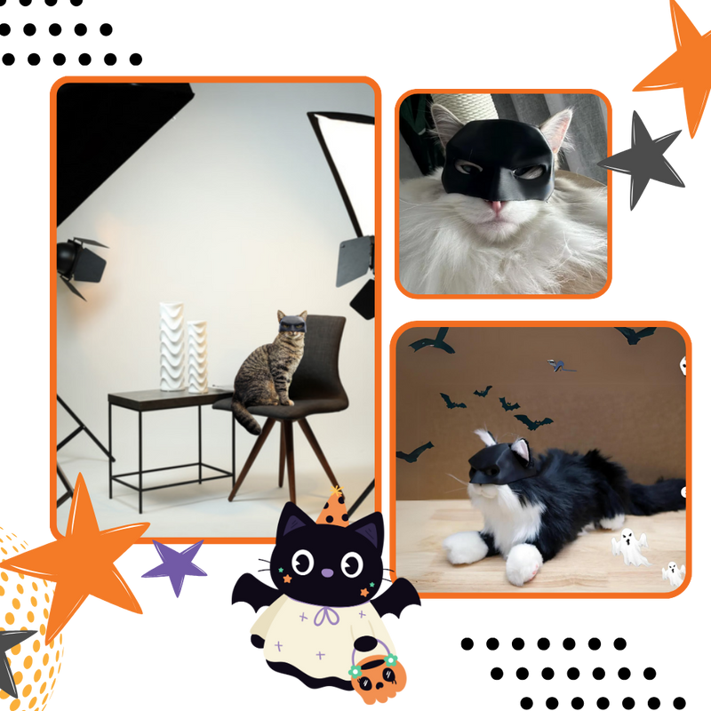 Irrésistible Masque Batman pour Chat