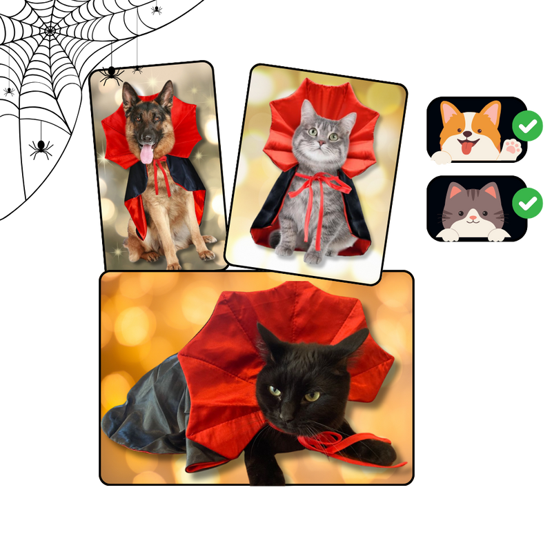 Costume d'Halloween Dracula pour animaux de compagnie