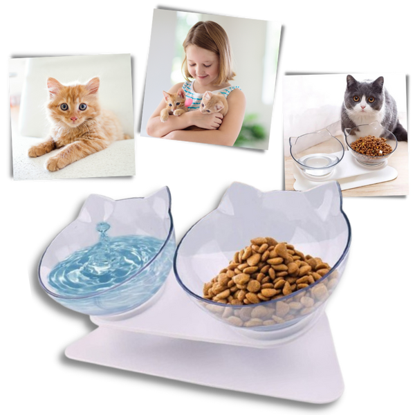 Bol confort surélevé pour chats