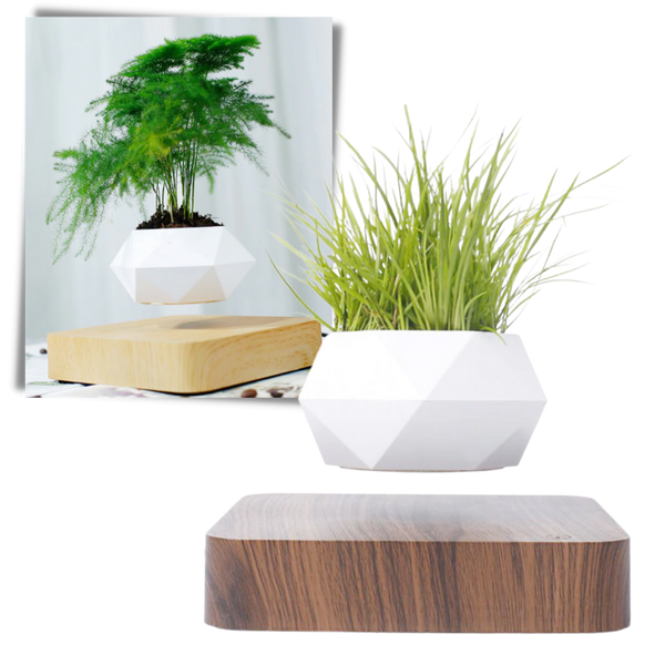 Pot à plante flottant en lévitation
