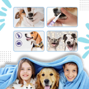 Gel de réparation buccale naturel pour animaux