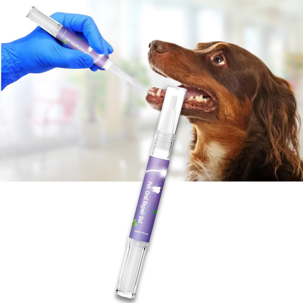 Gel de réparation buccale naturel pour animaux