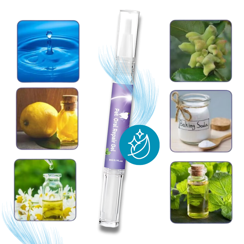 Gel de réparation buccale naturel pour animaux