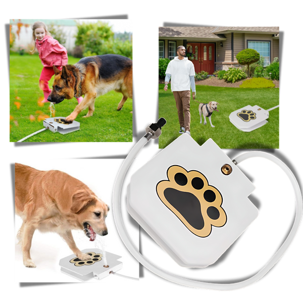 Fontaine à eau pour chien à activation par la patte