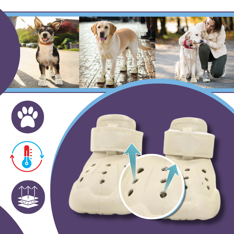 Bottines de protection pour pattes