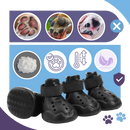 Bottines de protection pour pattes