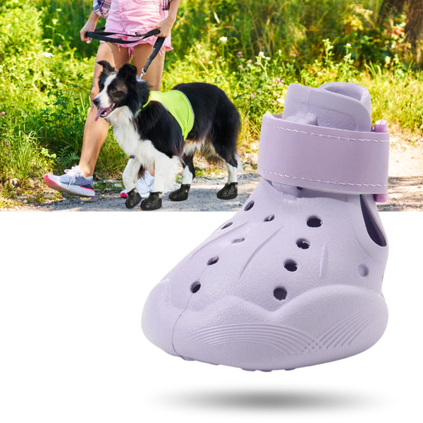 Bottines de protection pour pattes