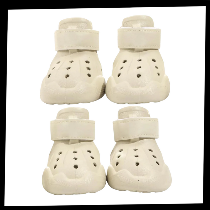 Bottines de protection pour pattes