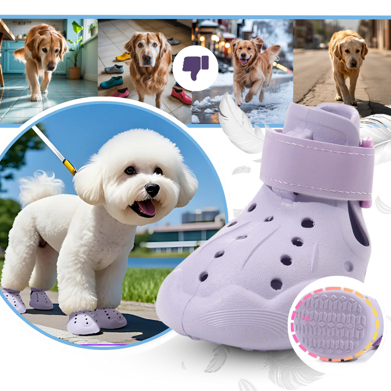 Bottines de protection pour pattes