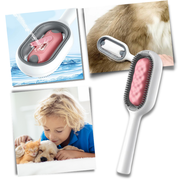 Brosse de toilettage avec réservoir d'eau