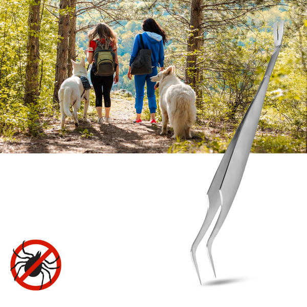 Pince à Tiques De Précision