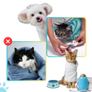 Sac de transport serein pour chat