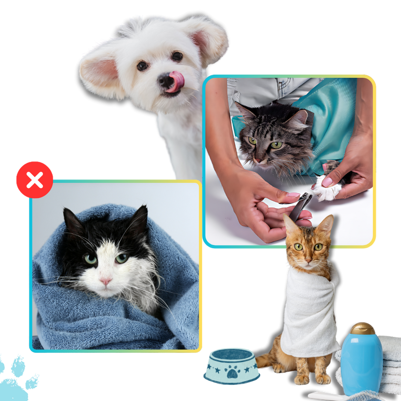 Sac de transport serein pour chat