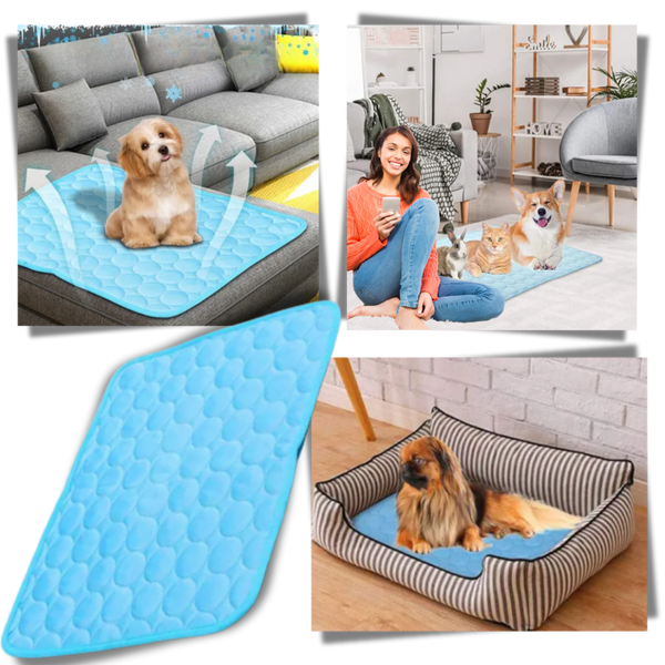 Tapis rafraîchissant en soie pour animaux de compagnie